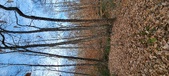 Enlarge photo 178