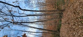 Enlarge photo 177