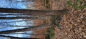 Enlarge photo 176