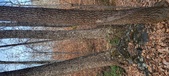 Enlarge photo 183