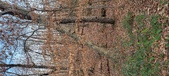 Enlarge photo 182