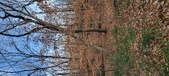 Enlarge photo 181