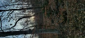 Enlarge photo 180