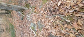 Enlarge photo 185