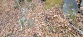 Enlarge photo 186