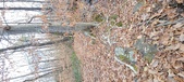 Enlarge photo 187