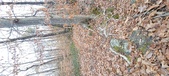 Enlarge photo 188
