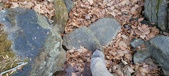 Enlarge photo 189
