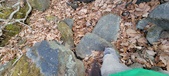 Enlarge photo 191