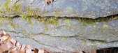 Enlarge photo 192
