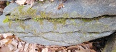 Enlarge photo 196