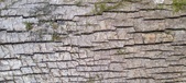 Enlarge photo 194