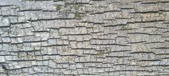 Enlarge photo 193