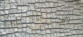 Enlarge photo 197