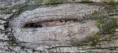 Enlarge photo 198