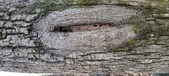 Enlarge photo 199