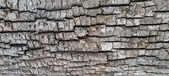 Enlarge photo 200