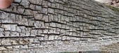 Enlarge photo 201