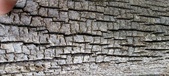 Enlarge photo 202