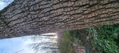 Enlarge photo 203