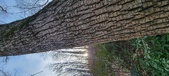 Enlarge photo 204