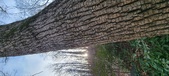 Enlarge photo 208