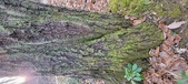 Enlarge photo 207