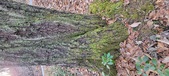 Enlarge photo 206