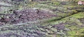 Enlarge photo 209