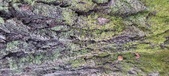 Enlarge photo 212