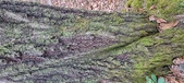 Enlarge photo 216