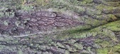 Enlarge photo 214