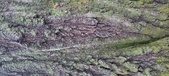 Enlarge photo 213