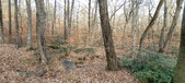 Enlarge photo 217