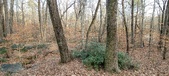 Enlarge photo 218