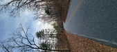 Enlarge photo 220