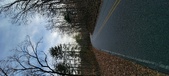 Enlarge photo 221
