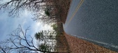 Enlarge photo 222
