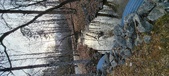 Enlarge photo 223
