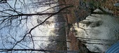 Enlarge photo 228