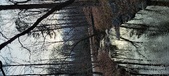 Enlarge photo 227