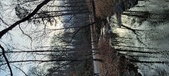 Enlarge photo 226