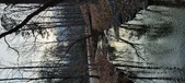 Enlarge photo 225