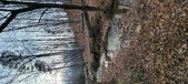 Enlarge photo 229
