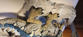 Enlarge photo 82