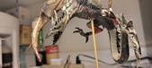 Enlarge photo 117