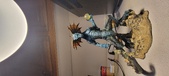 Enlarge photo 118