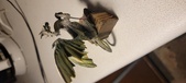 Enlarge photo 107