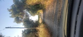 Enlarge photo 51