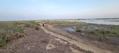 Enlarge photo 89